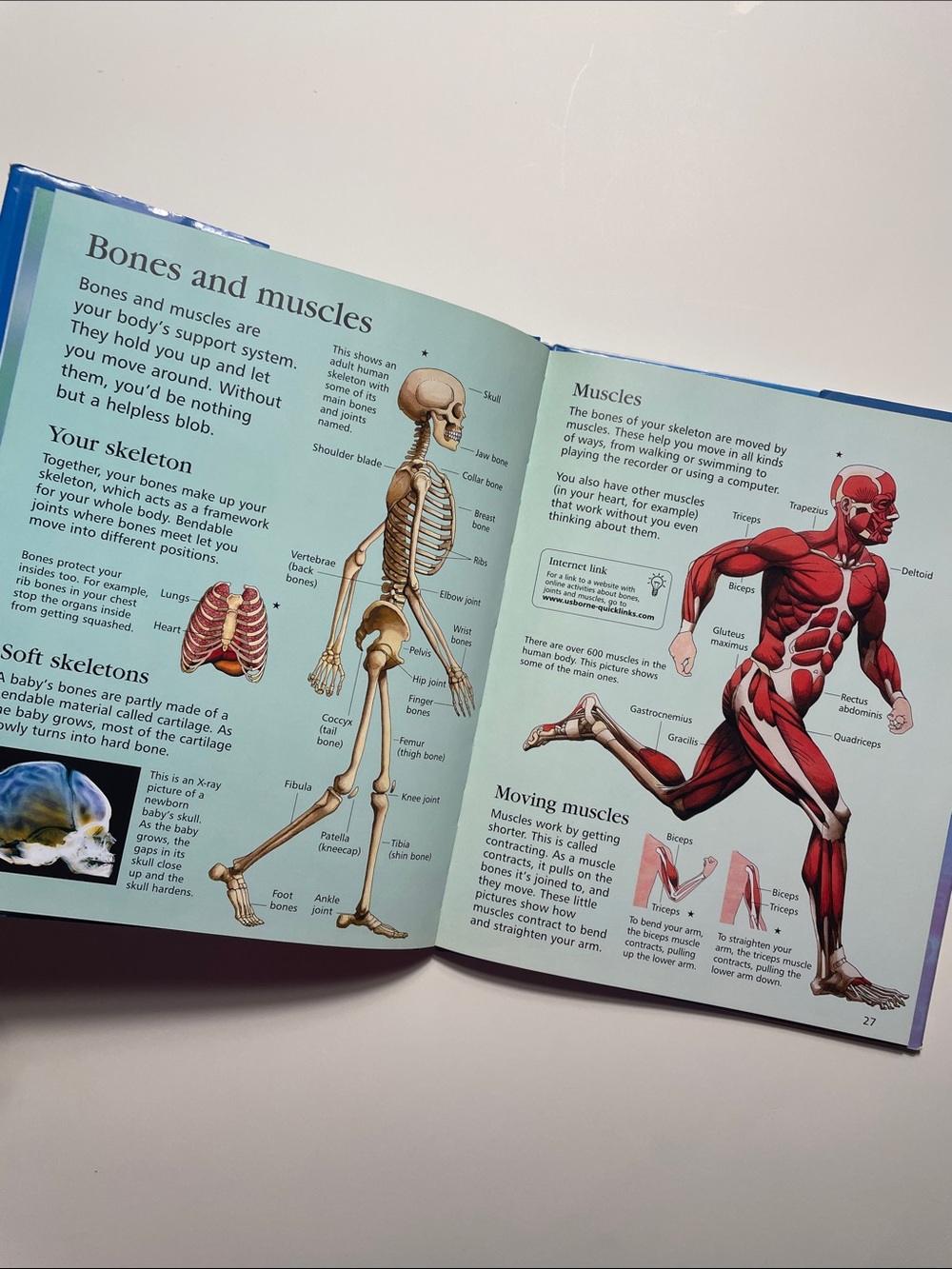 🍋 4/$20 Usborne First Encyclopedia of Science | Kids Books, Childrens Book - Picture 3 of 4